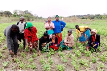 Lusangazi Horticultural Farmers Market Linkages