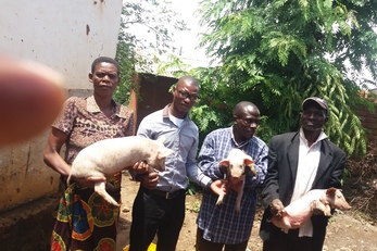 Scaling up piggery Initiative for Mvugo Women Support Group for people living with HIV.